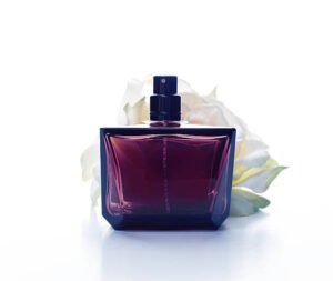 Velvet Bloom