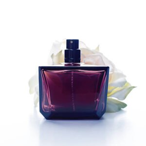Velvet Bloom